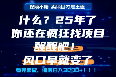 什么？25年你还在疯狂找项目做，醒醒吧，看完这些你全都懂了！【揭秘】 - HEIXMI（中国站）-HEIXMI（中国站）