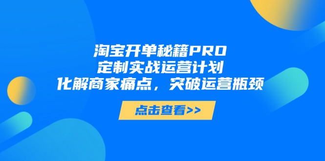 淘宝开单秘籍PRO，定制实战运营计划，化解商家痛点，突破运营瓶颈-HEIXMI（中国站）