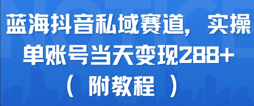 蓝海抖音私域赛道，实操单账号当天变现288+(附教程)-HEIXMI（中国站）