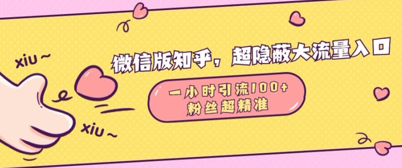 微信版知乎，超隐蔽流量入口1小时引流100人，粉丝质量超高【揭秘】-HEIXMI（中国站）
