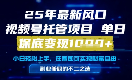 25年最新风口，视频号托管项目，单日保底变现1k+，手把手教学【揭秘】-HEIXMI（中国站）