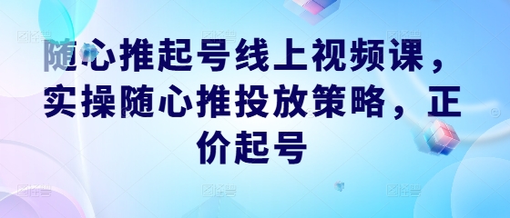 随心推起号线上视频课，实操随心推投放策略，正价起号-HEIXMI（中国站）