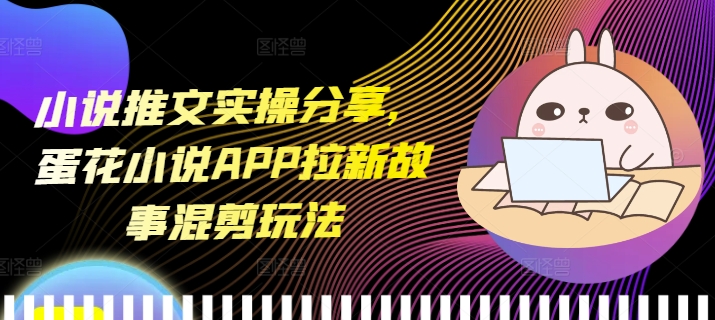 小说推文实操分享，蛋花小说APP拉新故事混剪玩法-HEIXMI（中国站）