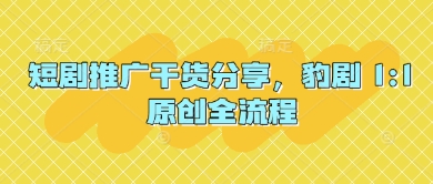 短剧推广干货分享，豹剧 1:1原创全流程-HEIXMI（中国站）