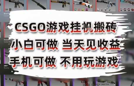 CSGO游戏挂G搬砖，小白纯手机即可操作，不用电脑打游戏，日入3张+，副业网创项目【揭秘】-HEIXMI（中国站）