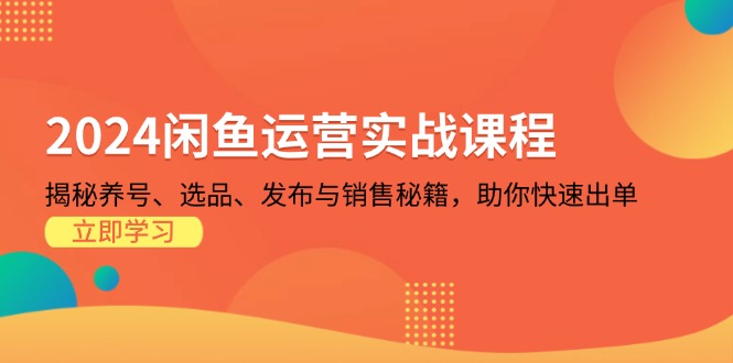 2024闲鱼运营实战课程：揭秘养号、选品、发布与销售秘籍，助你快速出单-HEIXMI（中国站）