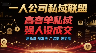 一人公司私域联盟，高客单私域，强人设成交，建私域 搞发售 广结盟 造势能-HEIXMI（中国站）