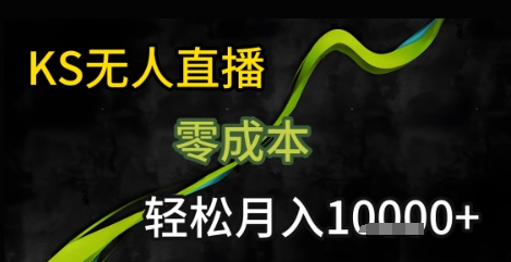 KS无人直播25年最新玩法，只需一部手机，轻松月入1W+【揭秘】-HEIXMI（中国站）