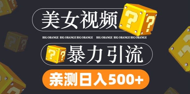 搬运tk美女视频全网分发，日引s粉300+，轻松变现，不限流量不封号【揭秘】-HEIXMI（中国站）