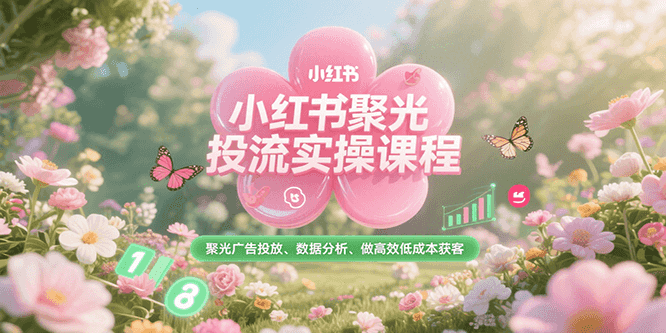 小红书聚光投流实操课程，聚光广告投放、数据分析、做高效低成本获客-HEIXMI（中国站）