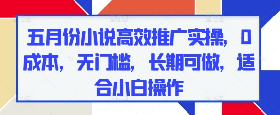 五月份小说高效推广实操，0成本，无门槛，长期可做，适合小白操作-HEIXMI（中国站）