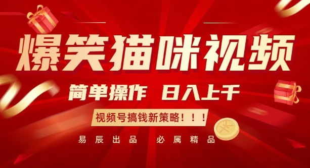 爆笑猫咪视频：简单操作，日入过K，视频号搞钱新策略【揭秘】-HEIXMI（中国站）