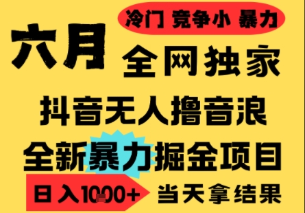 25年6月高爆抖音无人直播最新撸音浪掘金项目，小白可做，无脑日入1k+，门槛低可批量矩阵【揭秘】 - HEIXMI（中国站）-HEIXMI（中国站）
