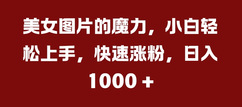 美女图片的魔力，小白轻松上手，快速涨粉，日入几张【揭秘】-HEIXMI（中国站）