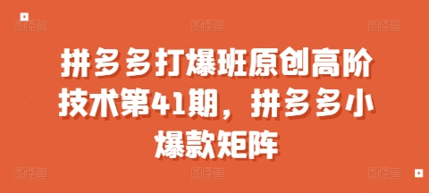 拼多多打爆班原创高阶技术第41期，拼多多小爆款矩阵-HEIXMI（中国站）