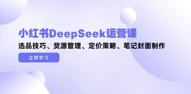 小红书DeepSeek运营课，选品技巧、货源管理、定价策略、笔记封面制作-HEIXMI（中国站）