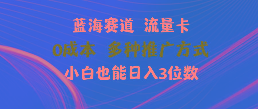 蓝海赛道 流量卡 0成本 小白也能日入三位数-HEIXMI（中国站）