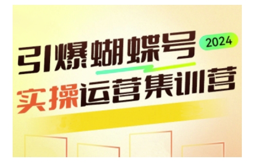 引爆蝴蝶号实操运营，助力你深度掌握蝴蝶号运营，实现高效实操，开启流量变现之路-HEIXMI（中国站）