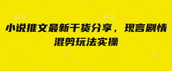 小说推文最新干货分享，现言剧情混剪玩法实操-HEIXMI（中国站）