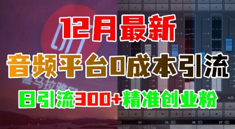 12月最新：音频平台0成本引流，日引流300+精准创业粉-HEIXMI（中国站）