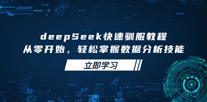 deepSeek快速驯服教程，从零开始，轻松掌握数据分析技能-HEIXMI（中国站）