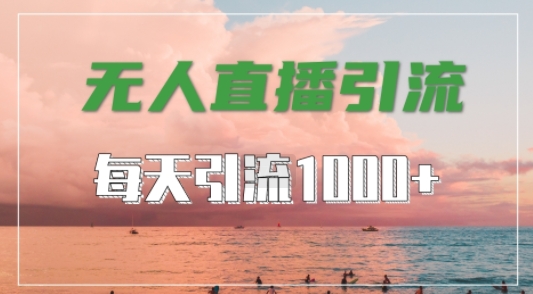 抖音快手视频号全平台通用，无人直播引流法，超暴力引流1000+高质量精准创业粉【揭秘】-HEIXMI（中国站）