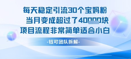 每天稳定引流30个人 当月变成超过了4个W项目流程非常简单适合小白-HEIXMI（中国站）