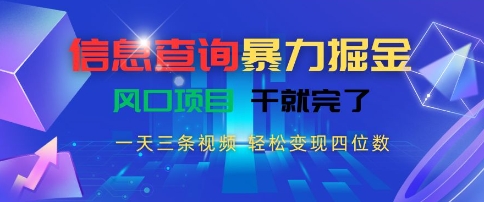 信息查询暴力掘金，一天三条视频，轻松变现四位数，风口项目干就完了【揭秘】-HEIXMI（中国站）