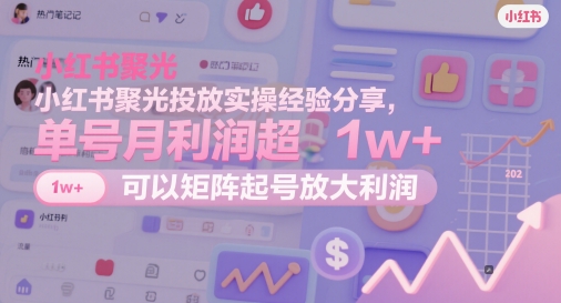 小红书聚光投放实操经验分享，单号月利润超1w+，可以矩阵起号放大利润 - HEIXMI（中国站）-HEIXMI（中国站）