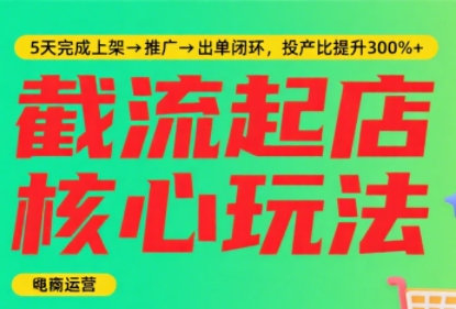 淘宝截流快速起店玩法，掌握暴力快速起店的流程-HEIXMI（中国站）