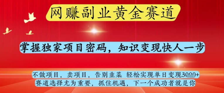 网创副业黄全赛道，掌握独家项目密码，知识变现快人一步，告别韭菜轻松实现单日变现1k+【揭秘】-HEIXMI（中国站）