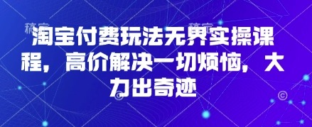 淘宝付费玩法无界实操课程，高价解决一切烦恼，大力出奇迹-HEIXMI（中国站）