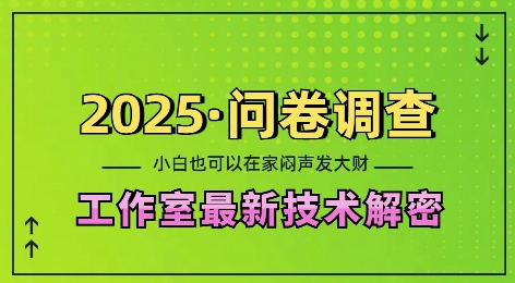 2025问卷调查最新工作室技术解密：一个人在家也可以闷声发大财，小白一天2张，可矩阵放大【揭秘】-HEIXMI（中国站）