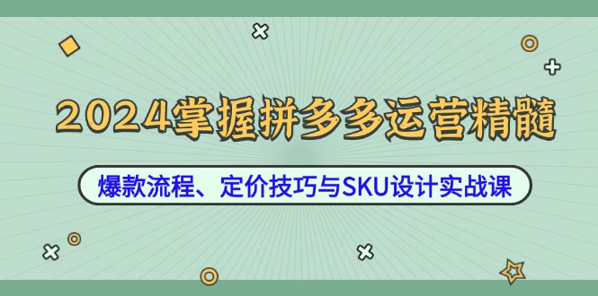 2024掌握拼多多运营精髓：爆款流程、定价技巧与SKU设计实战课-HEIXMI（中国站）