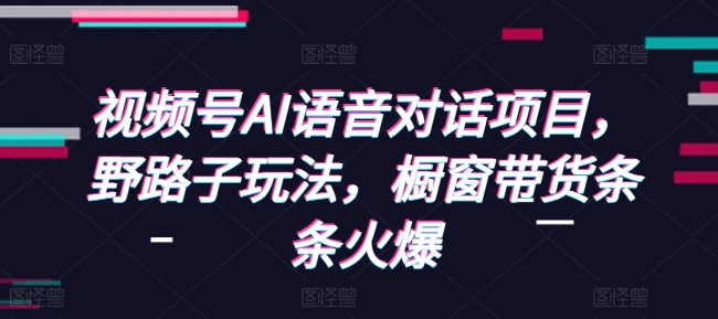 视频号AI语音对话项目，野路子玩法，橱窗带货条条火爆-HEIXMI（中国站）