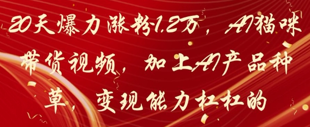 20天爆力涨粉1.2W，AI猫咪带货视频，加上AI产品种草，变现能力杠杠的-HEIXMI（中国站）