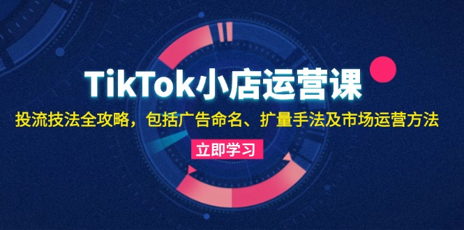 TikTok小店运营课：投流技法全攻略，包括广告命名 扩量手法及市场运营方法-HEIXMI（中国站）