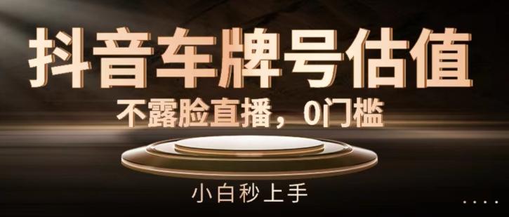 抖音车牌号估值，不露脸直播，0门槛，小白秒上手【揭秘】-HEIXMI（中国站）