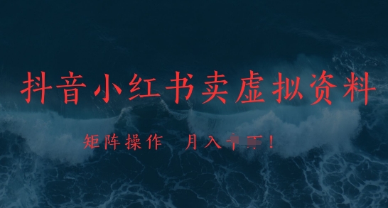 抖音小红书卖虚拟资料，市场需求一直存在，矩阵操作，月入1w+-HEIXMI（中国站）