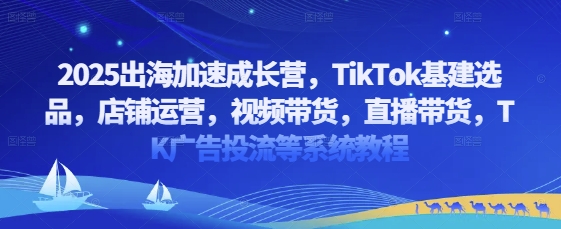 2025出海加速成长营，TikTok基建选品，店铺运营，视频带货，直播带货，TK广告投流等系统教程-HEIXMI（中国站）
