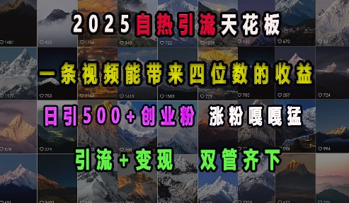 2025自热引流天花板，一条视频能带来四位数的收益，引流+变现双管齐下，日引500+创业粉，涨粉嘎嘎猛-HEIXMI（中国站）