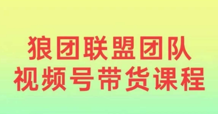 狼团联盟2024视频号带货，0基础小白快速入局视频号-HEIXMI（中国站）