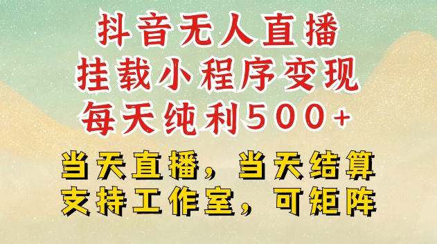 抖音无人直播挂载小程序变现每天纯利500+当天直播，当天结算支持工作室，可矩阵【揭秘】-HEIXMI（中国站）