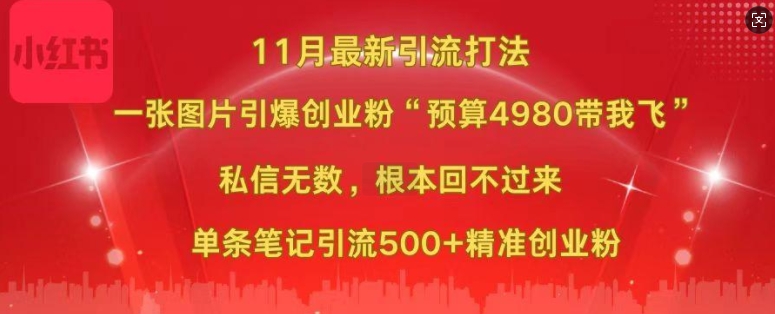 小红书11月最新图片打粉，一张图片引爆创业粉，“预算4980带我飞”，单条引流500+精准创业粉-HEIXMI（中国站）
