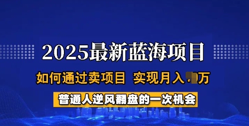2025蓝海项目，普通人如何通过卖项目，实现月入过W，全过程【揭秘】-HEIXMI（中国站）
