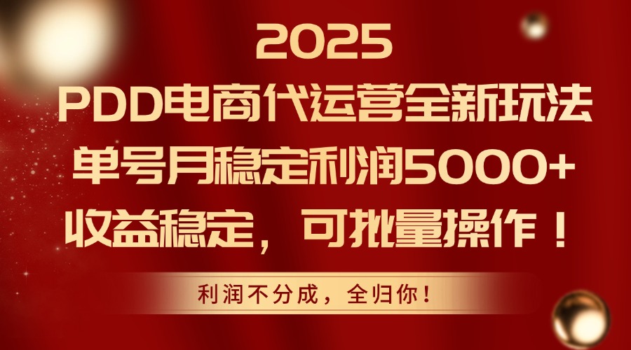 2025PDD电商代运营全新玩法，单号月稳定利润5000+，收益稳定，可批量操作-HEIXMI（中国站）
