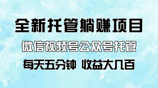 全新托管躺赚项目，微信视频号公众号托管代运营，每天五分钟，收益大几百-HEIXMI（中国站）