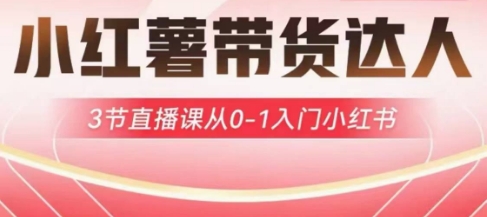 小红薯达人带货启航计划，3节直播课从0-1入门小红书-HEIXMI（中国站）