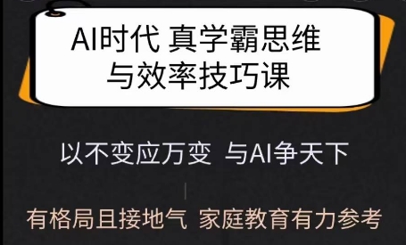 Ai时代真学霸思维与学习方法课，有格局且接地气，家庭教育有力参考-HEIXMI（中国站）