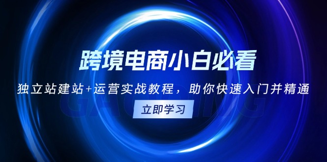 跨境电商小白必看！独立站建站+运营实战教程，助你快速入门并精通-HEIXMI（中国站）